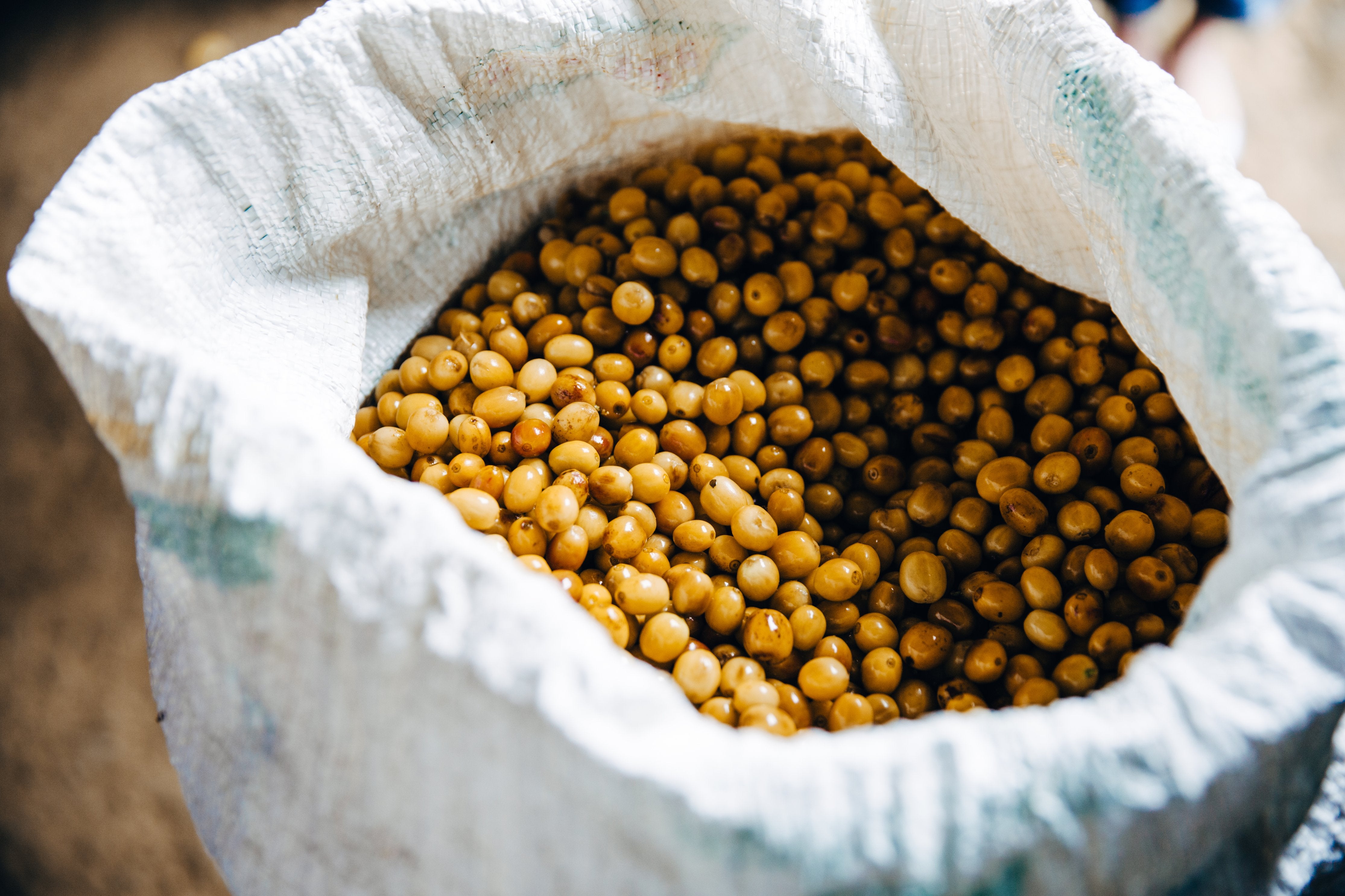 African Kahawa Blend -  Fair Trade Organic